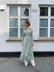 Kate shirt dress